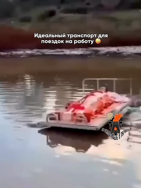 ������ ��������� ��������� ��� ������� �� ������