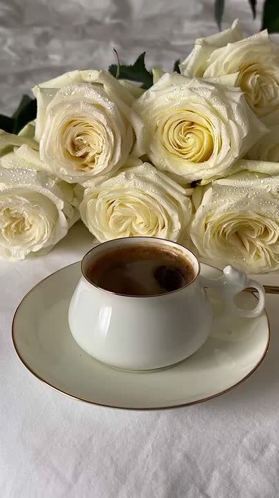 ������ ��� ����������, ������� �� ������ ������ � ����