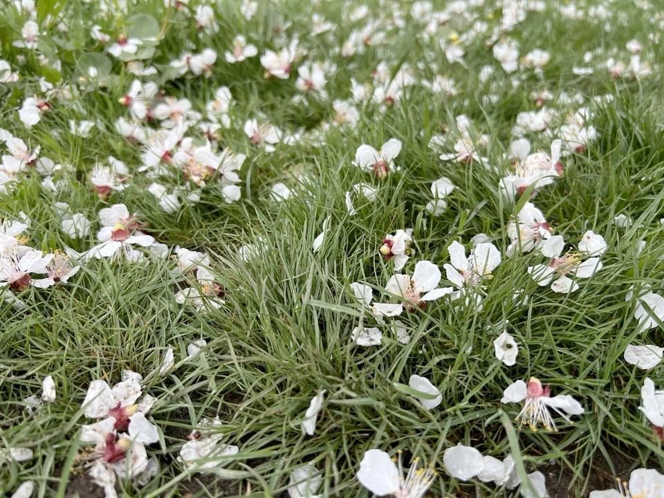 � ��� 7 ������ ��������� ����� � �����