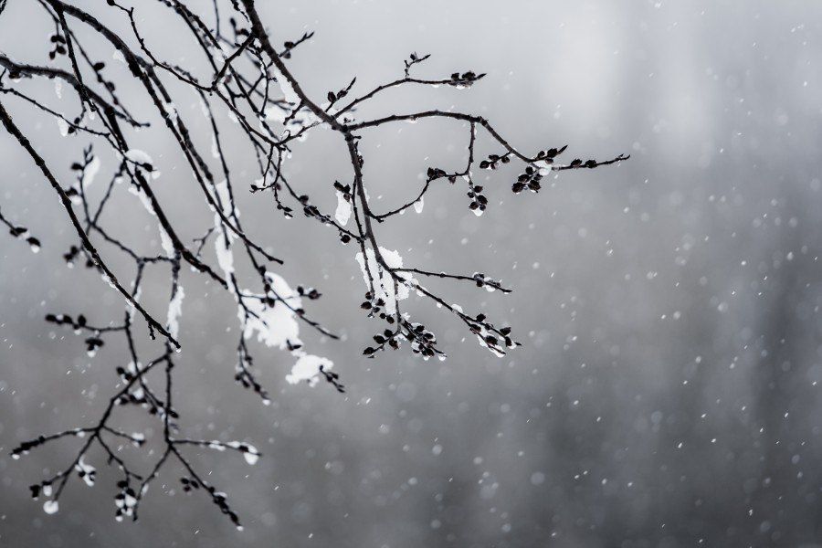 ��������� � �������� ������������ ��������� �� ���������� ��� �� 10 ������