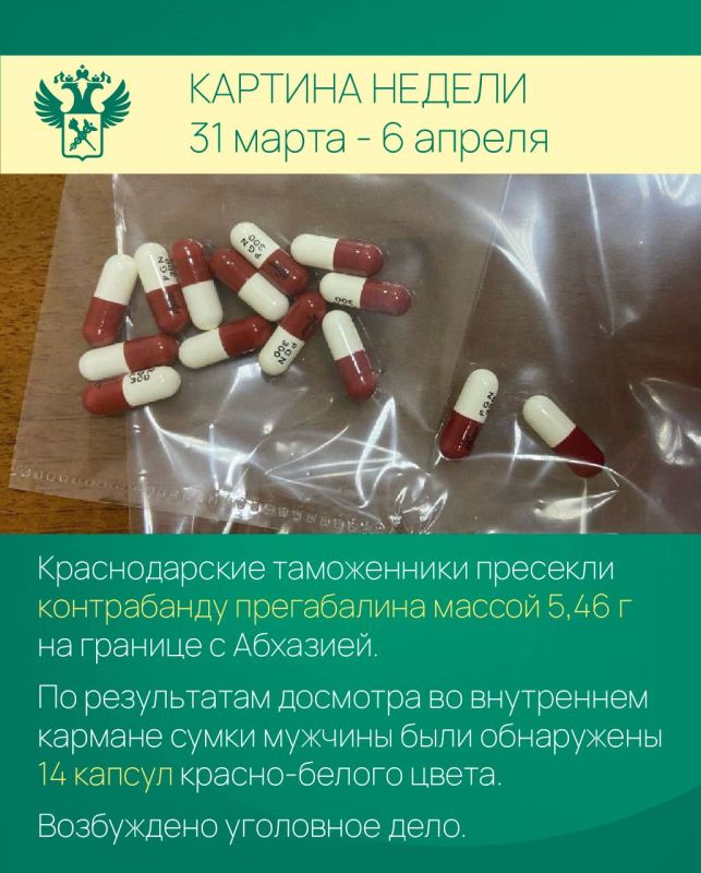 ������� ������. ������ ������������ � ��������: