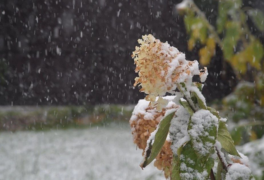 �� ��� �� ��� �������� ���� ������ ����? ���������� �������