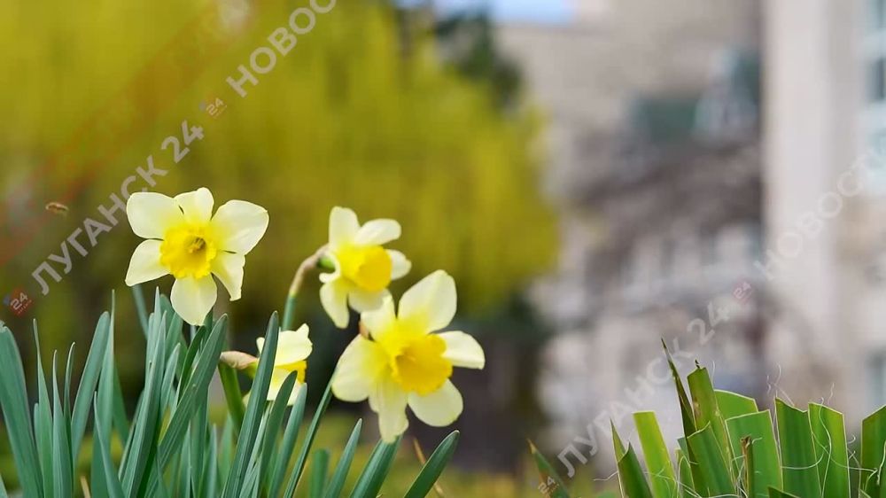 �������� ������� ������������� ����� �������� ��������� ���������� ������� ���� ��������� ���������� ������ ��������