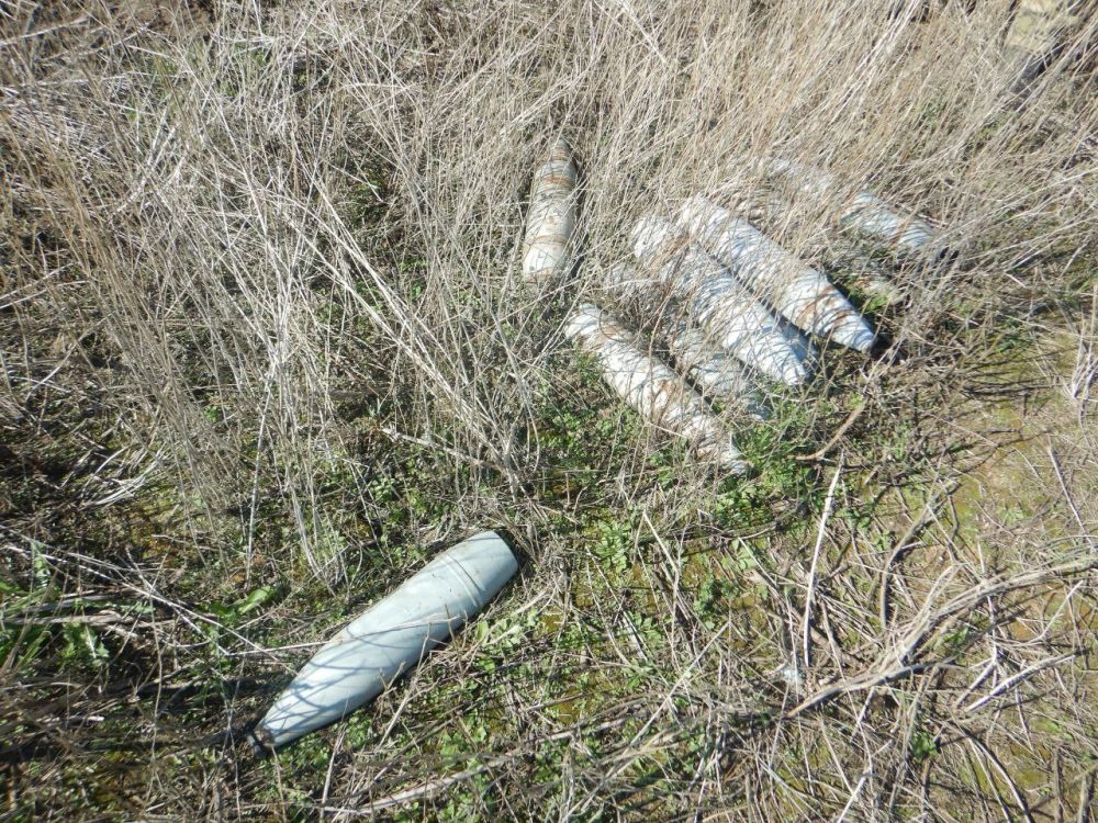 5 ������� � �������� ��������� ���������� ����������� � ���������������� ������ � ������ ��� ��������