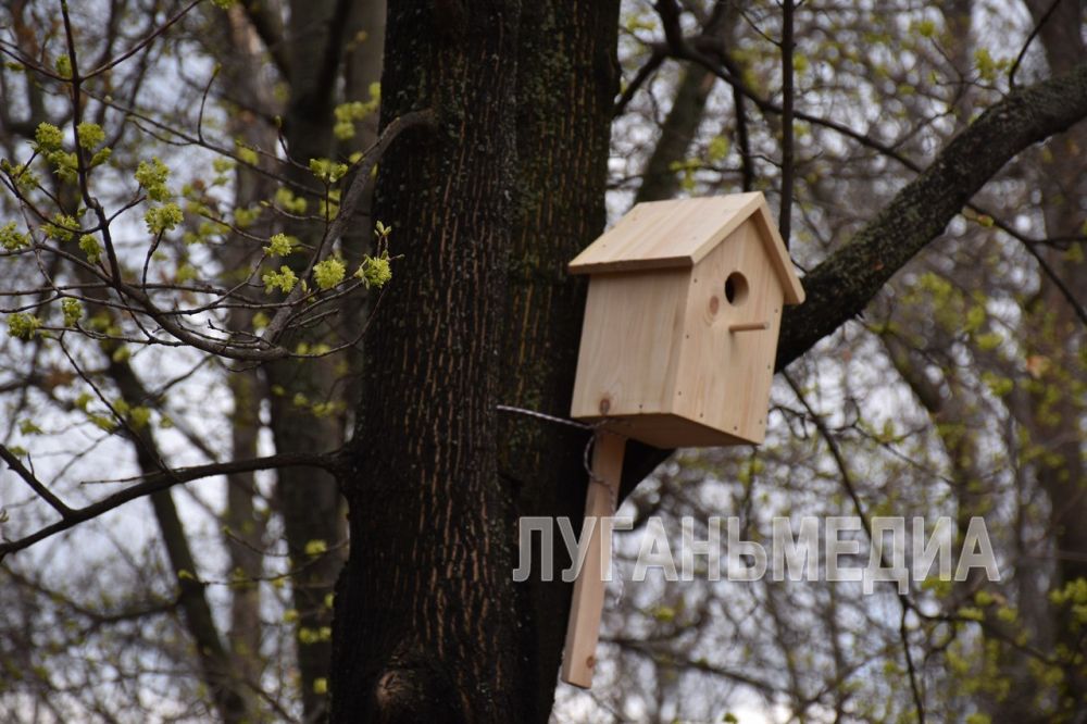 ������������� ��������� ������ ������� � ������������� �����