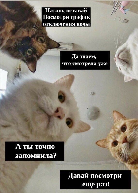 ��������� �������� ��������� �� ����� ��� ����