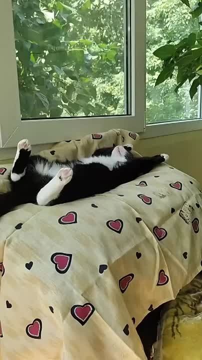 ���� �� ������ �����������, �������� ����� ��� ��������