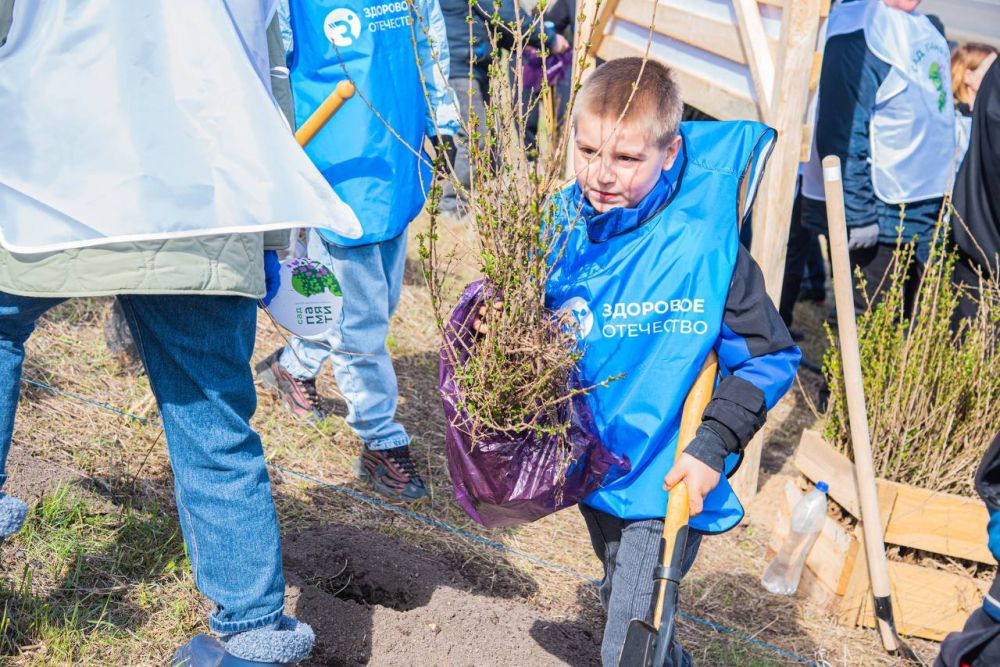 ������ ��������: ������ ��������� �������� ���������� ���������� ������� ����������� � ������������� ����� ���� ������