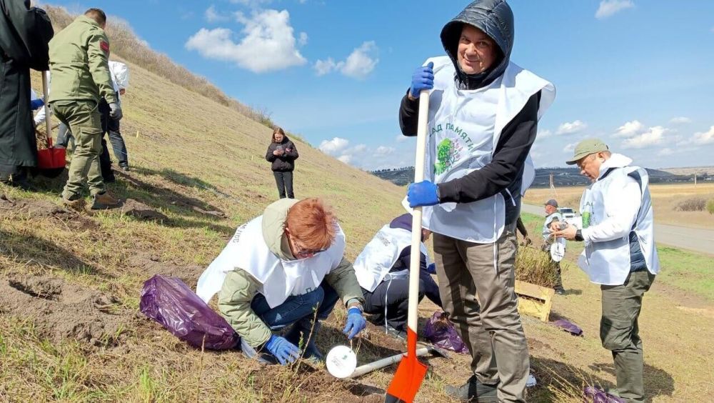 В ЛНР появится геоглиф в виде слова "Победа"