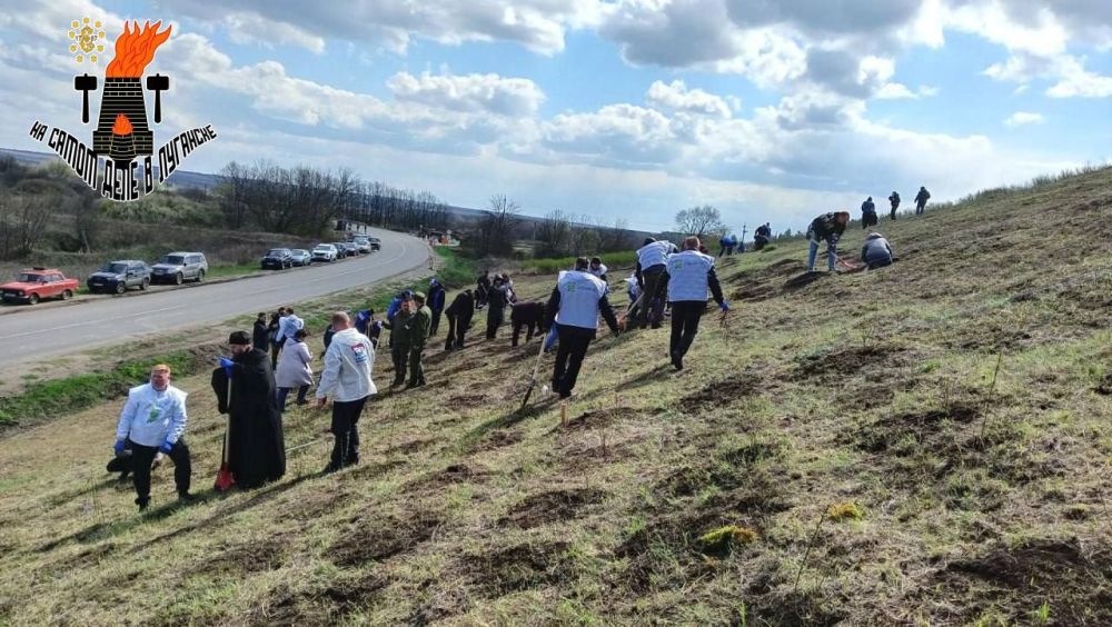 В ЛНР начали высаживать геоглиф в виде слова "Победа"