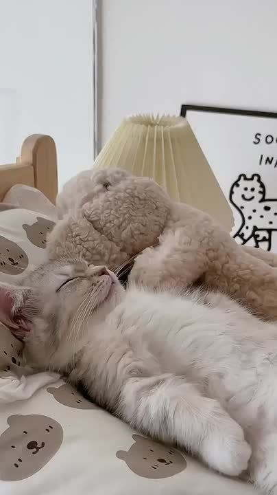 ������ ���� �� ����� ���� �������, �� ���� ���-�� ������� � ������ ���