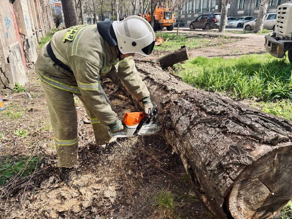 ������ ���� ���������� ��� �������� � ����������