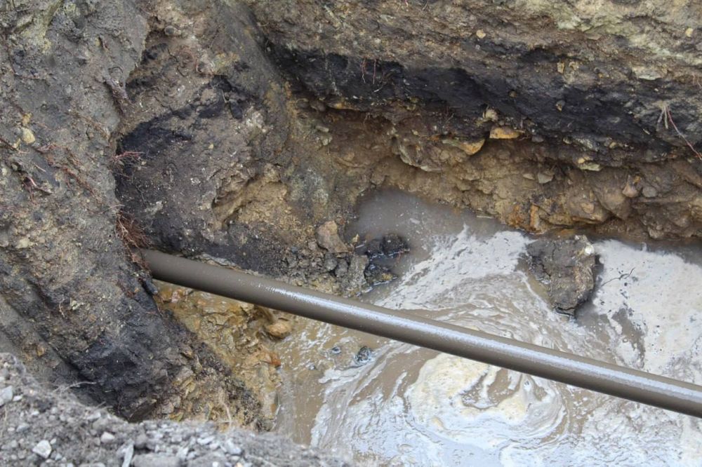 � ���������� ���������� "�����������" � ����������� �� ����-������� ��������� ������� ������ ������� �������� �� ���������� �������� ������� �� ����� ������� �������� ����� �������������� 3,5 ��