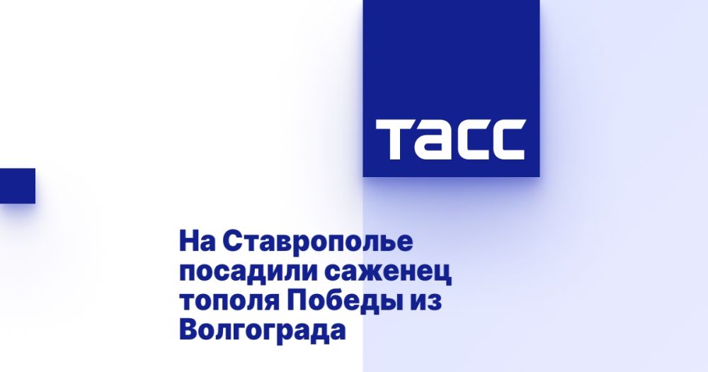 �� ����������� �������� ������� ������ ������ �� ����������