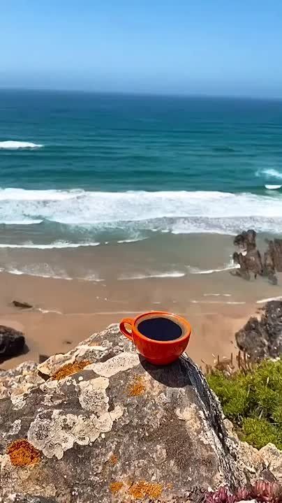 �� ������ ������ � ���� ���� �����, ����� � ��� ����������� ���� ���