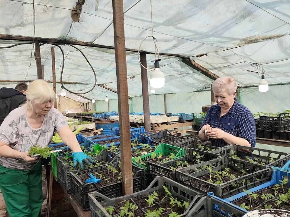 ��������� "����������" ������� ��������� ������� � 80-����� ������