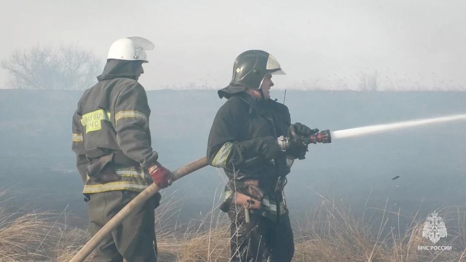 � ��� ����� ����� ����������� �������