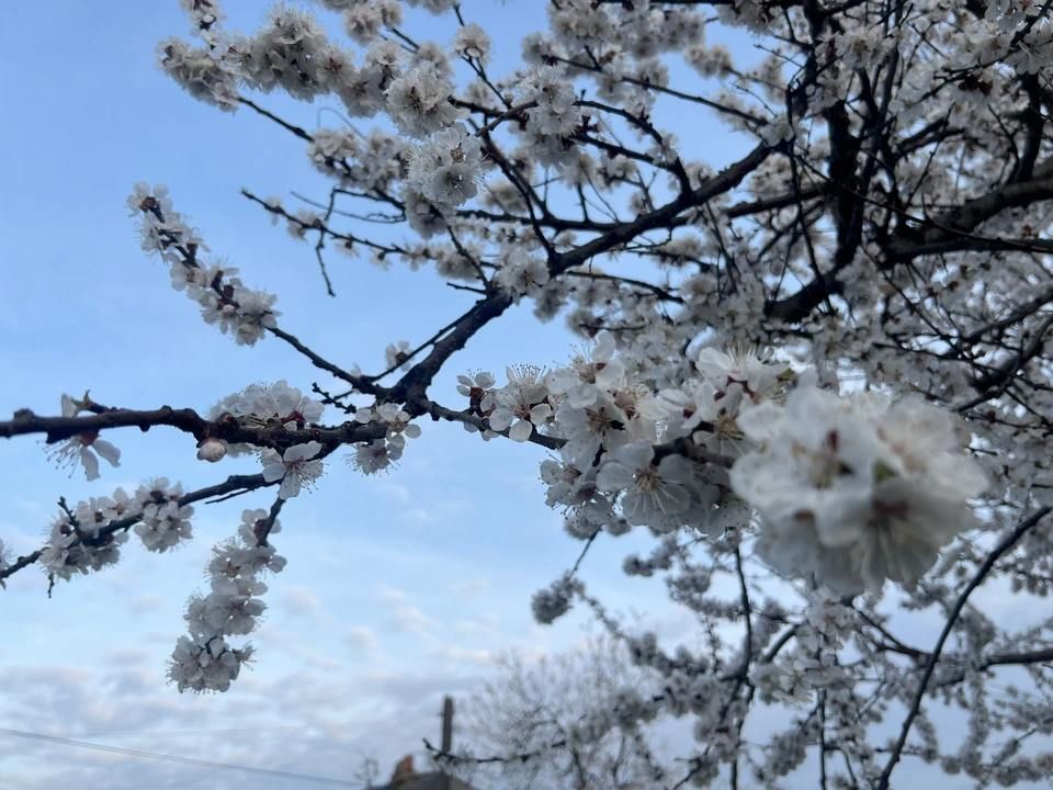 ��� ������������ �� ������� ���������� ��� ������� � �������