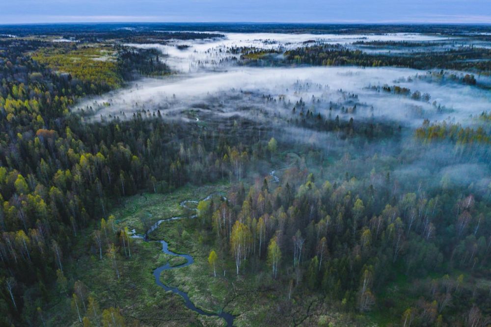 ���������� � ��������� � ��� �������������� 12 ������