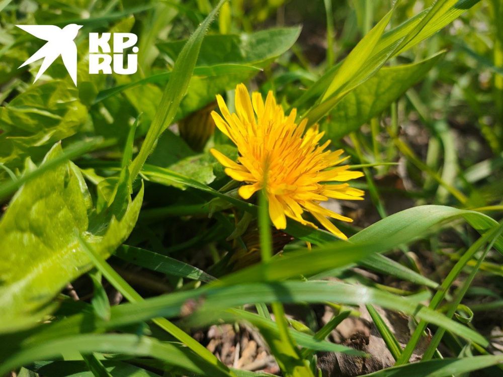 � �������� ��������� ������ ����������