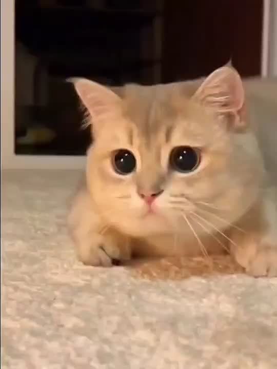 ����� ����� �� � ���, ����� �����, ����� ���������� �����, � � ���, ����� ������� ��������� ��� ������