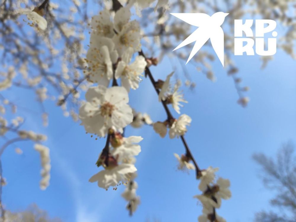 ������������� ���� �������� ���������