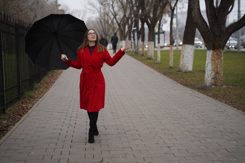 � ��� � �����������, 13 ������ ������������ �� 15 �� 17 �������� �����