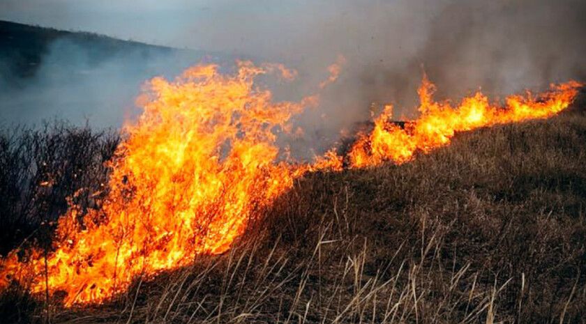 ������������� ����� ������� � ���