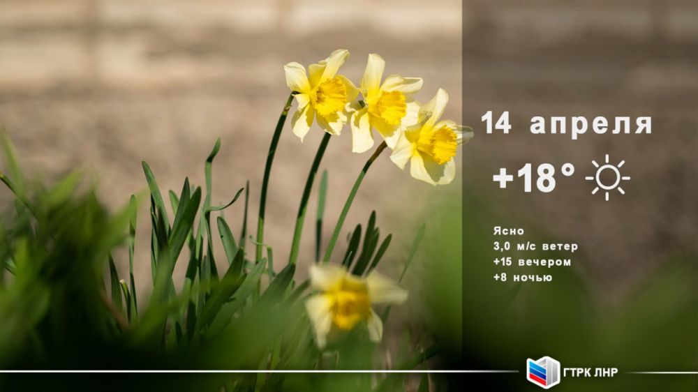 ������ ����, ��������� �������� ����������!