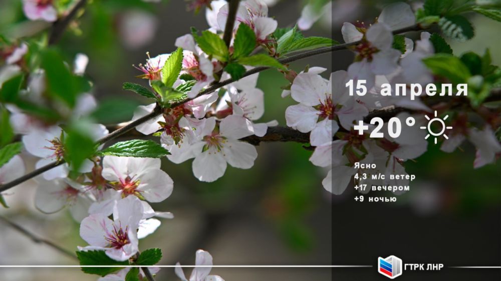 ������ ����, ��������� �������� ����������!