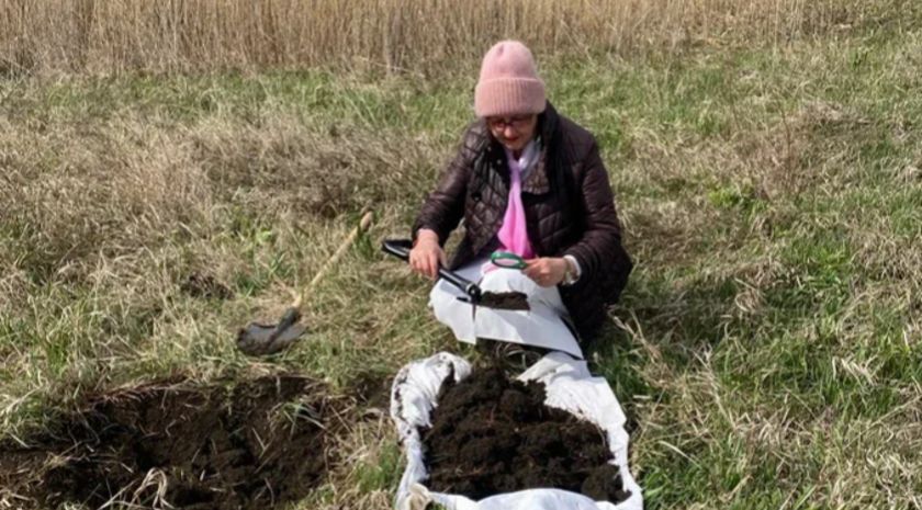 Россельхозцентр начал в ЛНР весенние почвенные раскопки для обнаружения саранчи