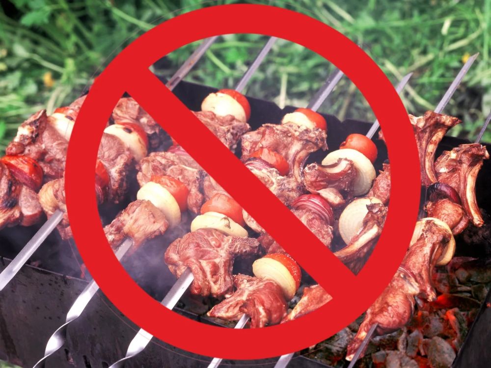 Теперь в Луганске, чтобы пожарить шашлык на майские придётся соблюсти все правила пожарной безопасности