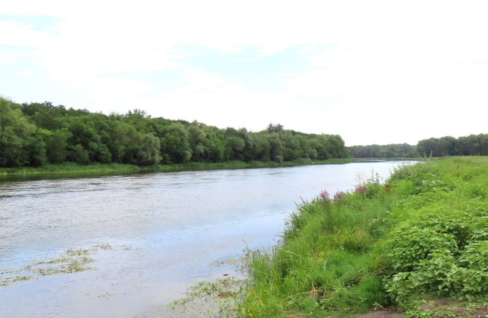 В Луганской Народной Республике в 2025 году продолжатся мероприятия по расчистке рек