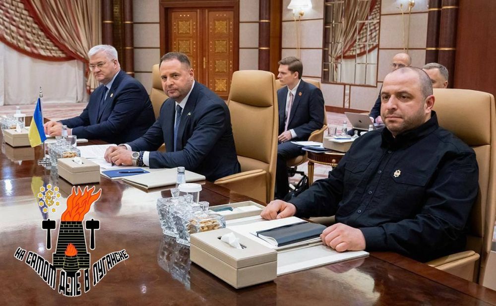 Продажные шавки примчались по первому зову хозяев