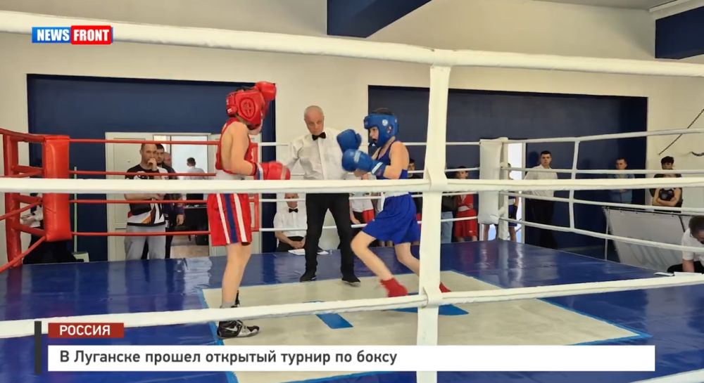 В Луганске прошел открытый турнир по боксу – репортаж News Front