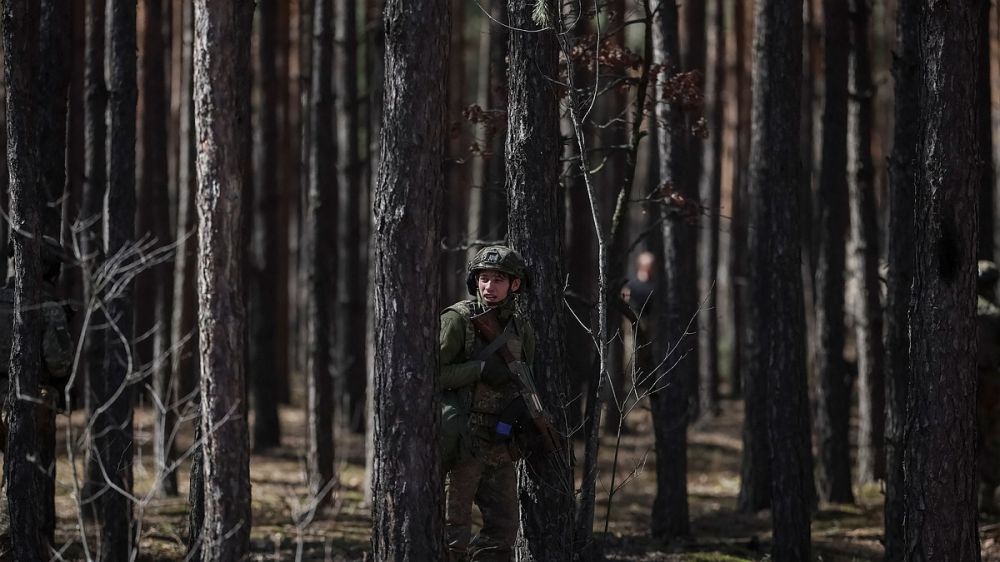ВСУ нарушили объявленное Путиным пасхальное перемирие ударом по Кременной в ЛНР