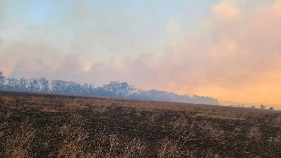 Четвёртый класс пожарной опасности сохраняется в ЛНР