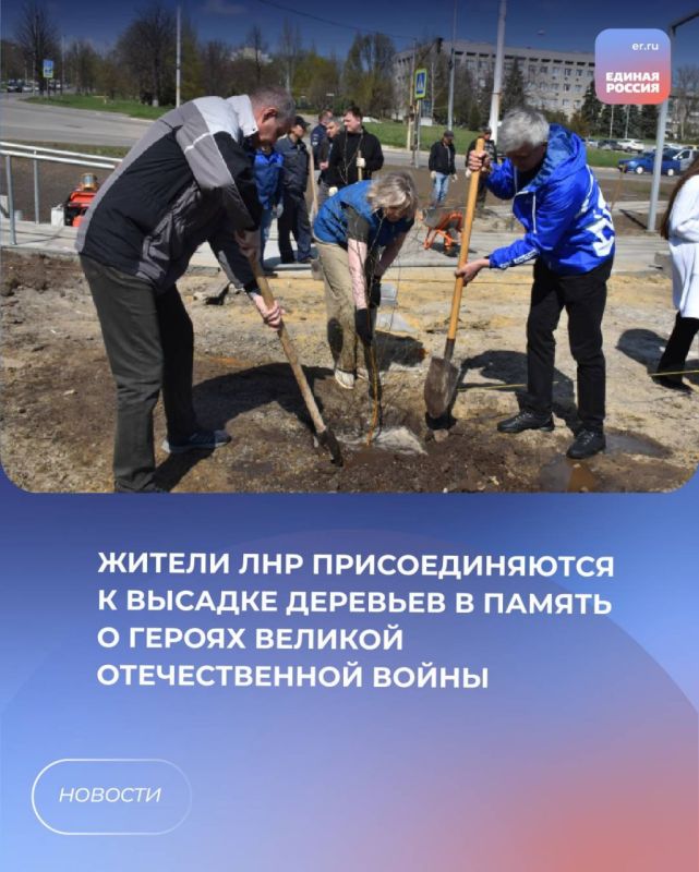 Жители ЛНР присоединяются к высадке деревьев в память о Героях Великой Отечественной войны