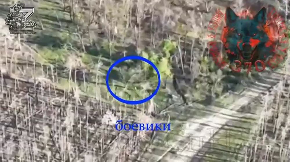 Бойцы 16 обр СпН уничтожили блиндаж, склад с БК и живую силу противника во взаимодействии с расчетом Д-30 и 120-мм миномета в районе н.п. Серебрянское лесничество, Северодонецкий район, на западе Луганской Народной Республики