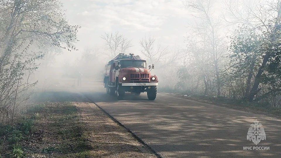 За сутки в ЛНР выгорело более 173 гектара растительности