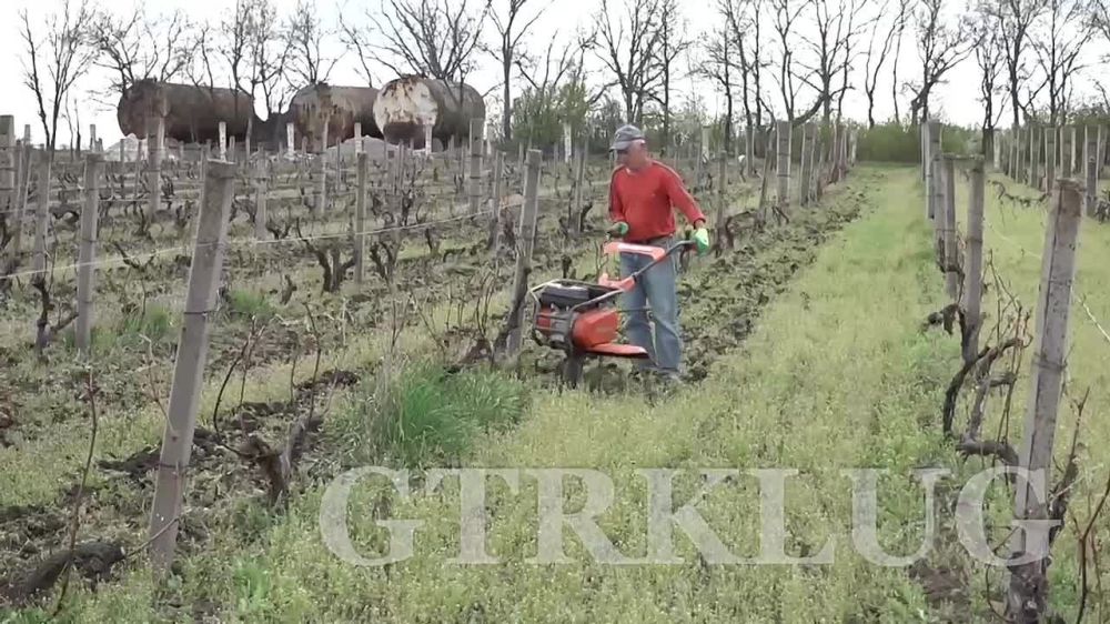 Агроклассы Луганского ГАУ им. К.Е. Ворошилова приехали на винодельню Савиных