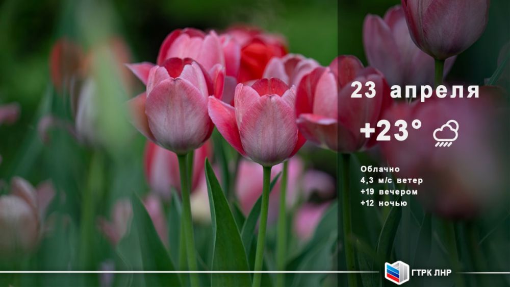 Доброе утро, Луганская Народная Республика!