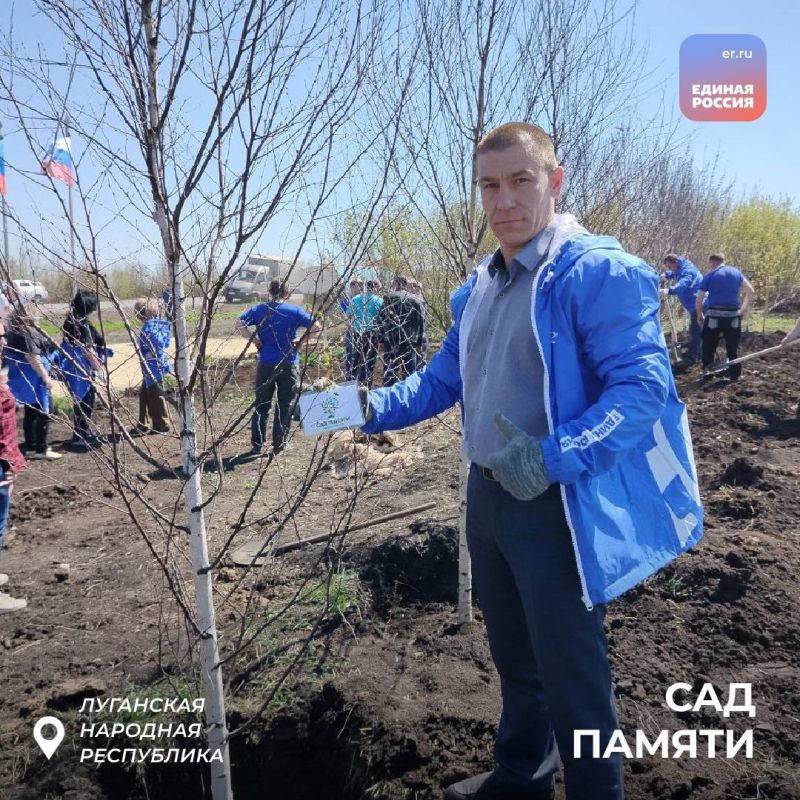 Жители ЛНР высадили деревья в память о Героях Великой Отечественной войны