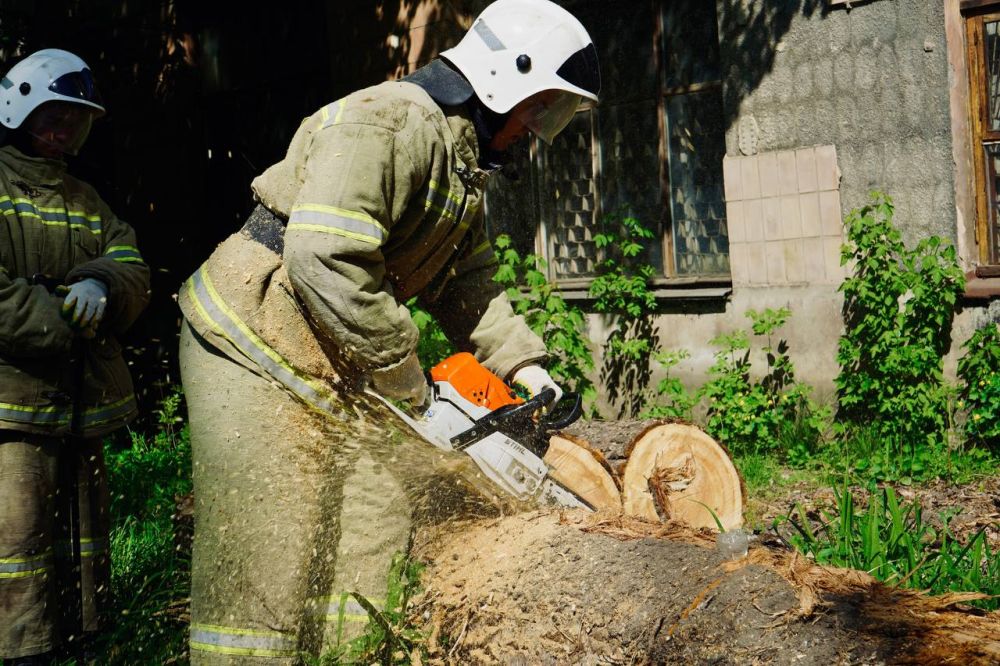 Добровольцы за чистоту: порядок — это наше общее дело