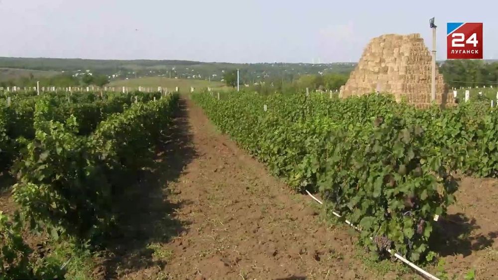 Сегодня в ЛГАКИ открылся Всероссийский молодежный конкурс;