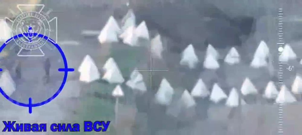 Они выбрали жизнь: кадры сдачи в плен ВСУшников в Белгородском приграничье