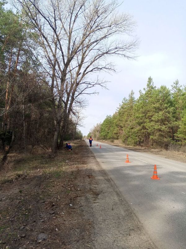 Обрезка деревьев вдоль автодорог республики