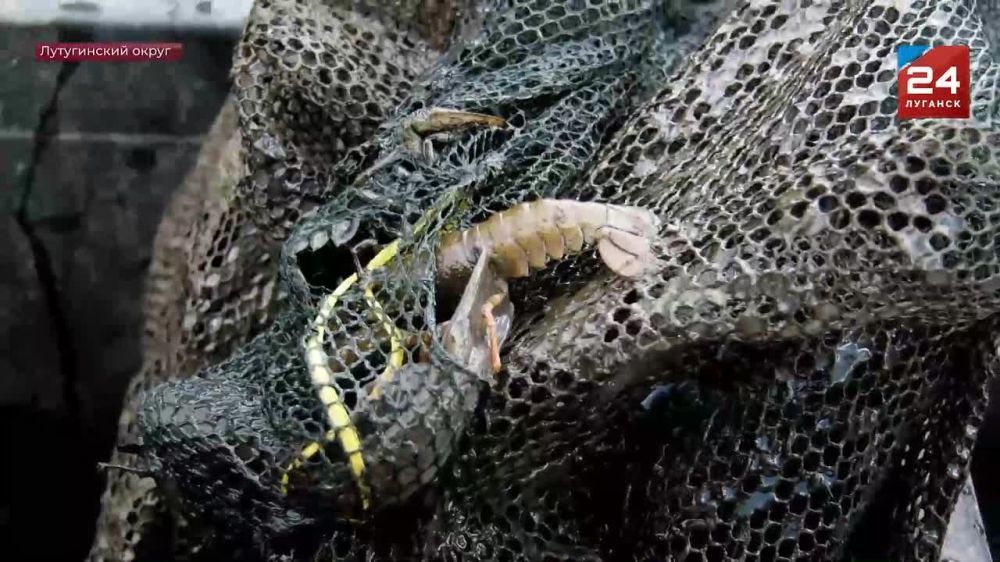 В Республике выявляют рыбаков-нарушителей