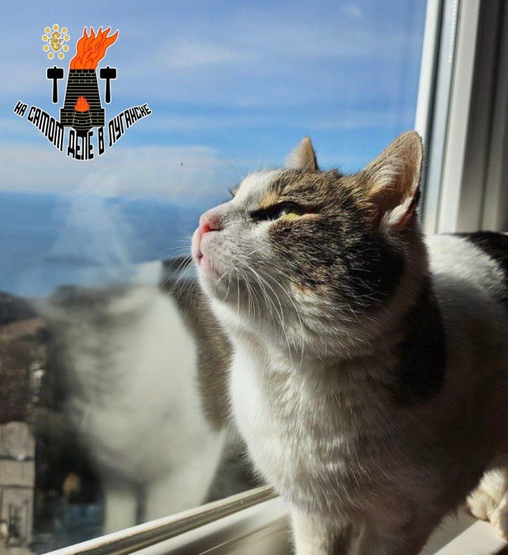 Минутка милоты из солнечного Крыма