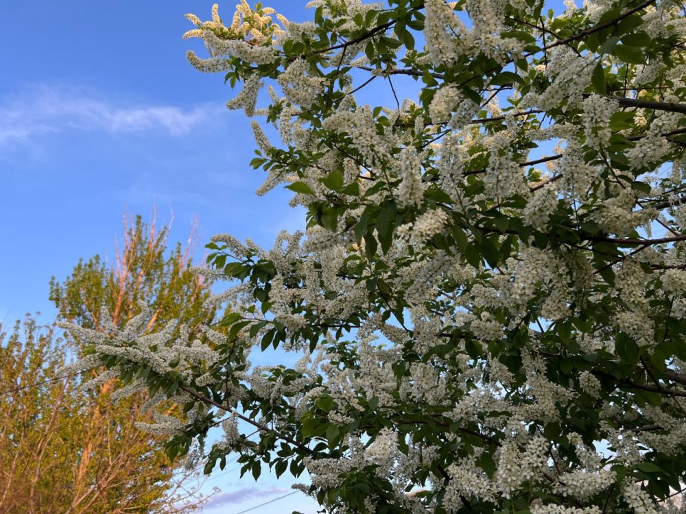 Сегодня в ЛНР воздух прогреется до 26°С